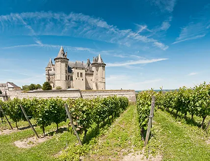 Vignobles du Val de Loire